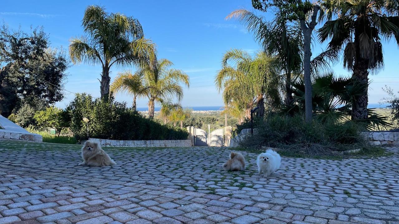 Alla Villa Di Angelo Monopoli Zewnętrze zdjęcie