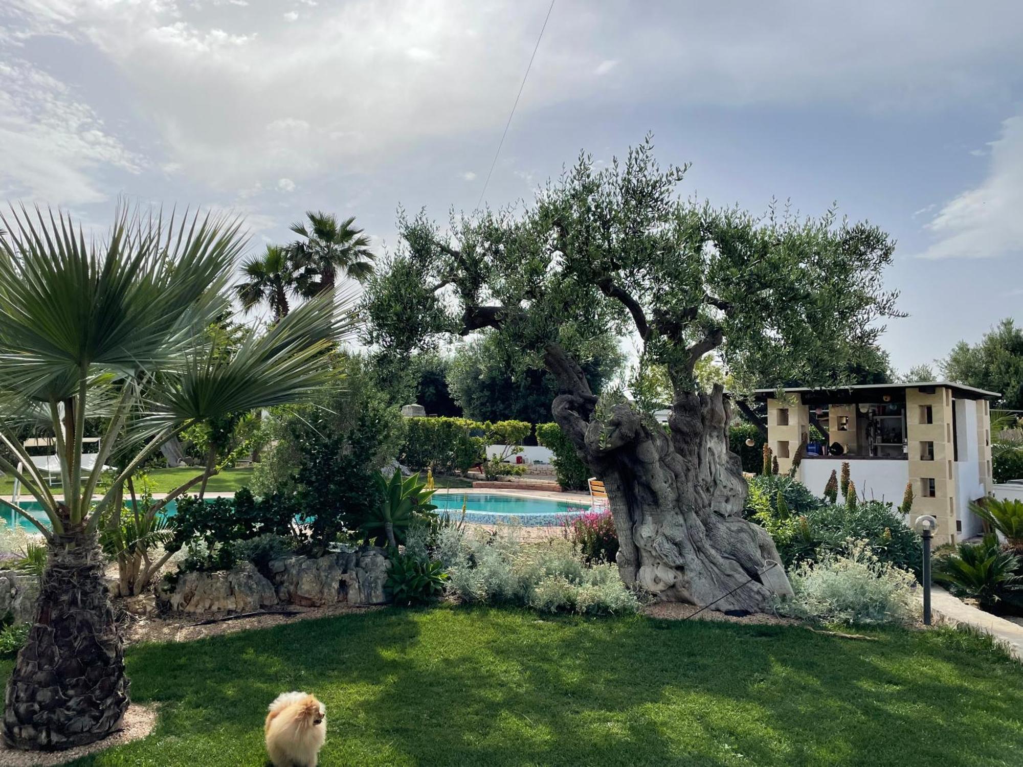 Alla Villa Di Angelo Monopoli Zewnętrze zdjęcie