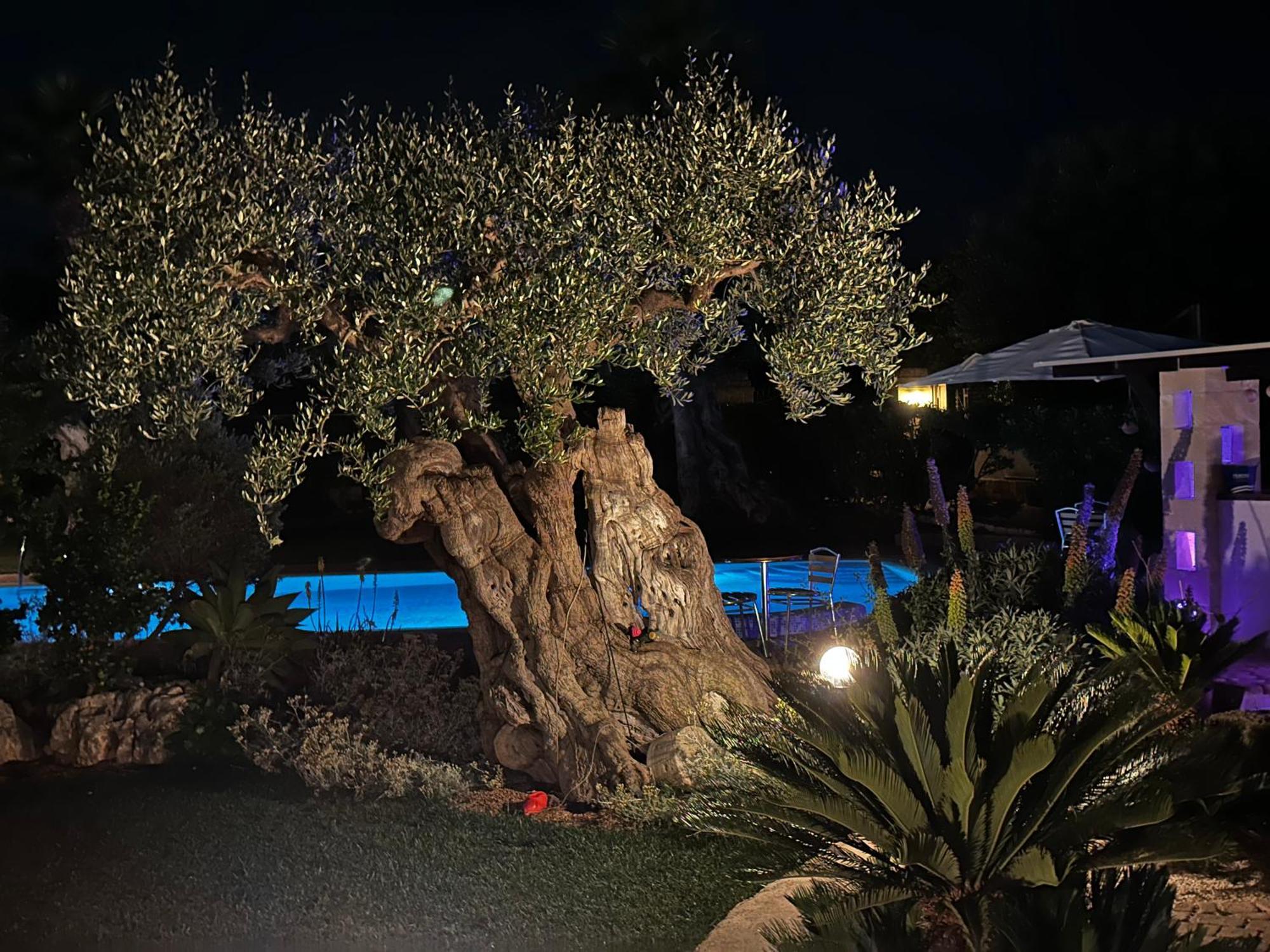 Alla Villa Di Angelo Monopoli Pokój zdjęcie